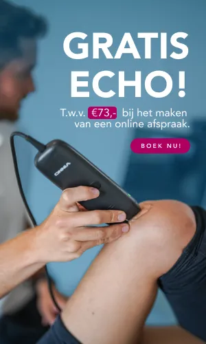 Gratis echo shockwave